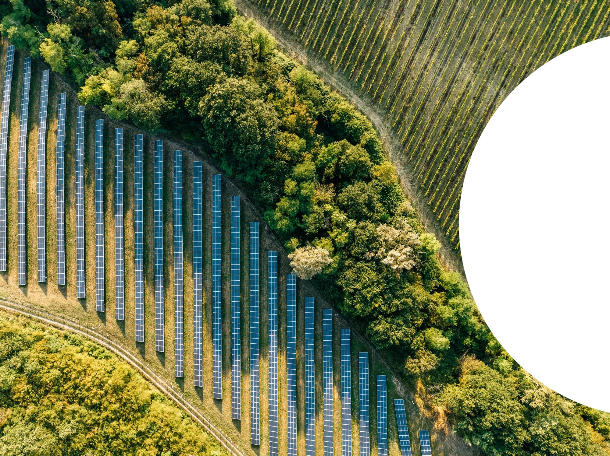 Aerial view of a solar farm in the countryside. Environment and green energy concept.